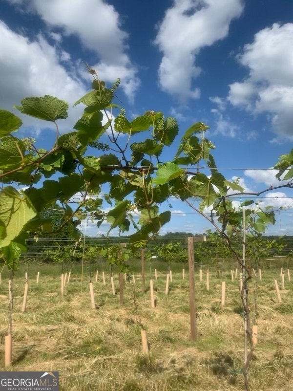 77 Little River Road Carrollton - 45