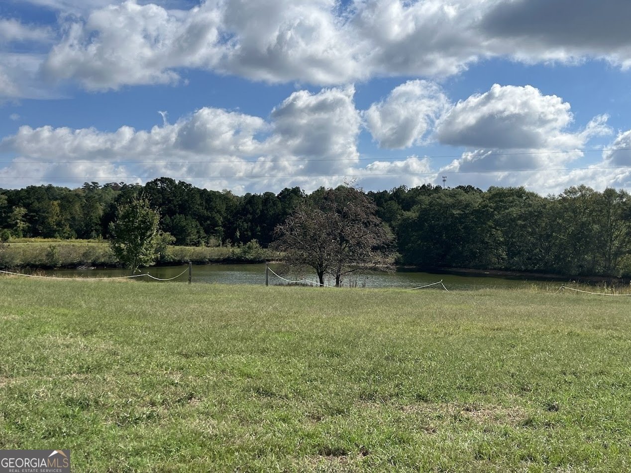 77 Little River Road Carrollton - 7