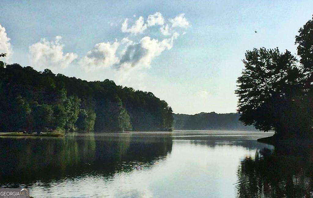 2060 Six Branches Drive Roswell - 23