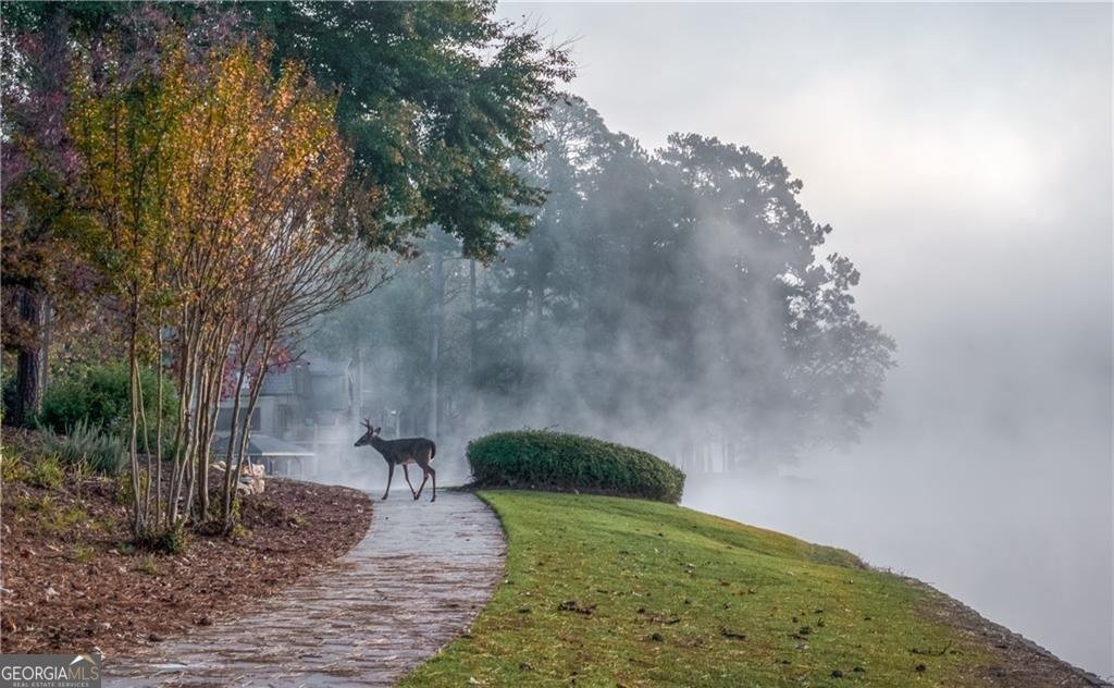 2060 Six Branches Drive Roswell - 32