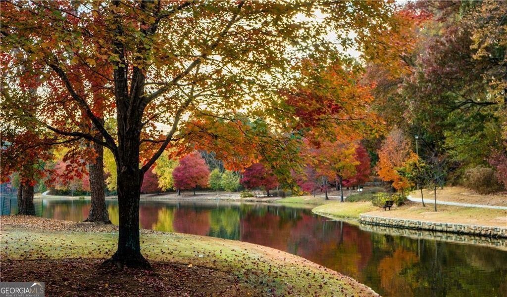 2060 Six Branches Drive Roswell - 34