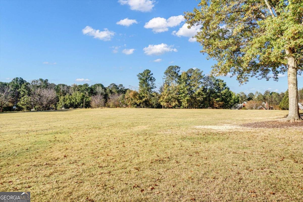 331 Laurel Glen Crossing Canton - 39