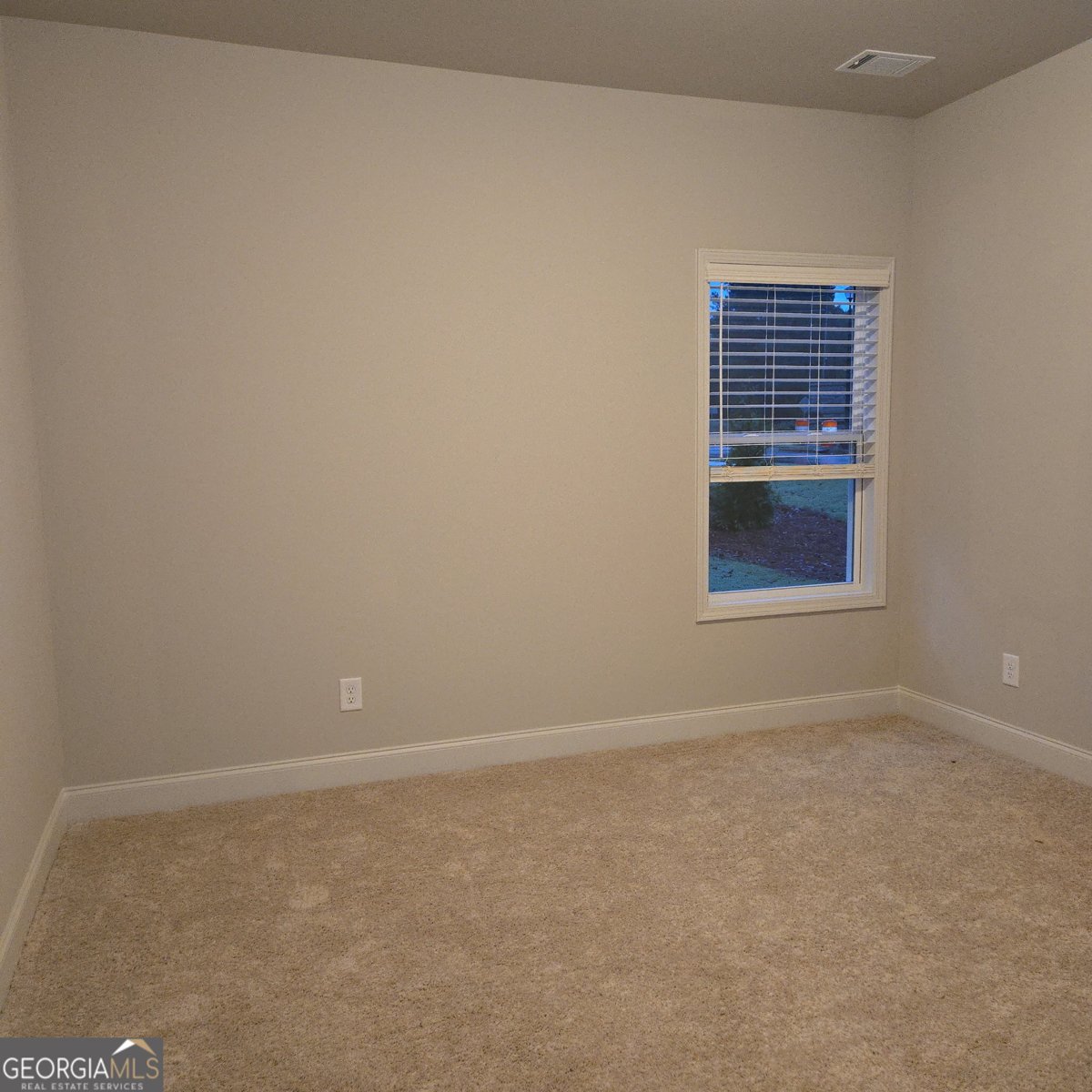 904 Bessie Court Loganville - 17