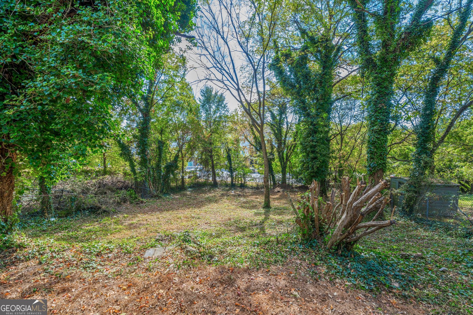 2624 PEYTON Road Atlanta - 9