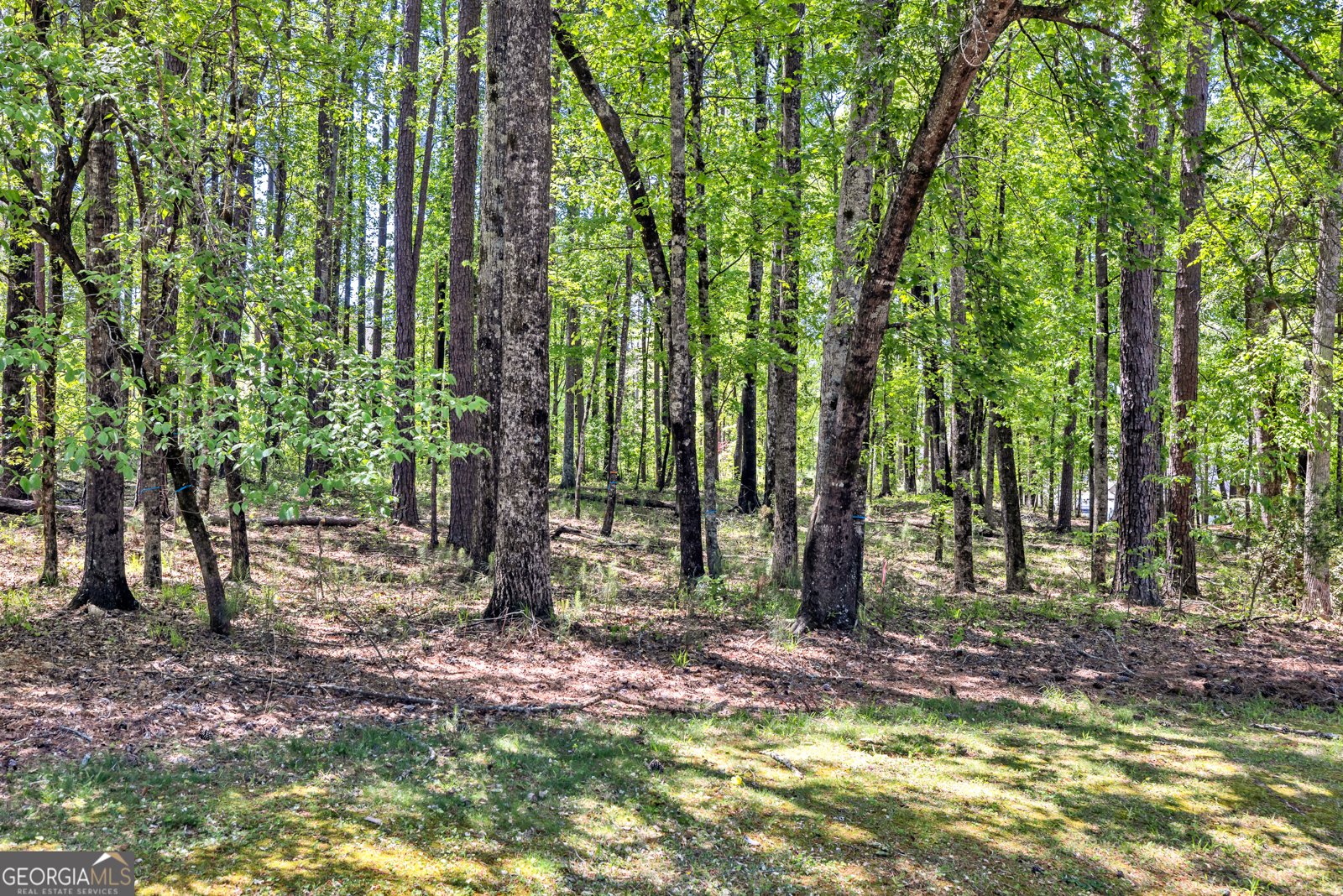 1010 Troon Court Greensboro - 8