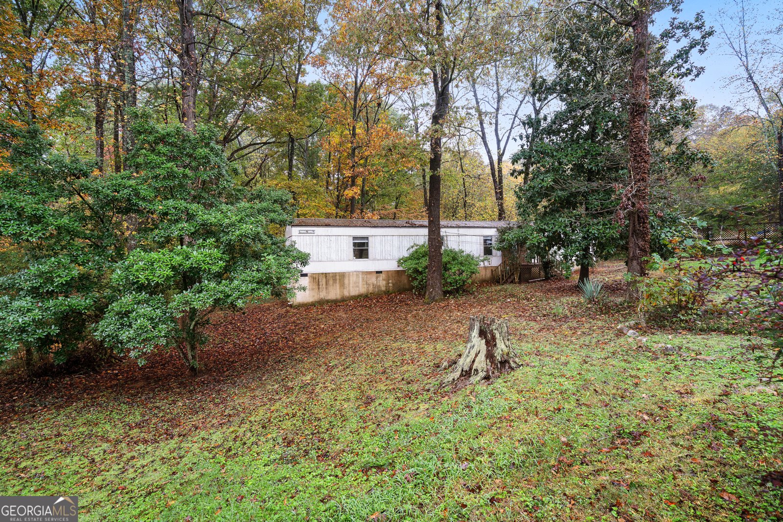 207 Squirrel Avenue Cohutta - 24