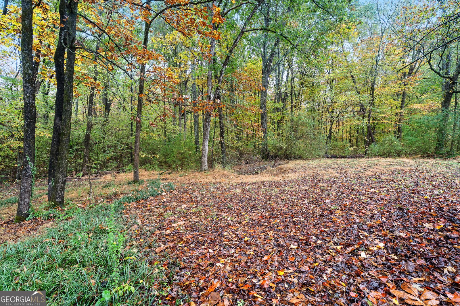 207 Squirrel Avenue Cohutta - 32