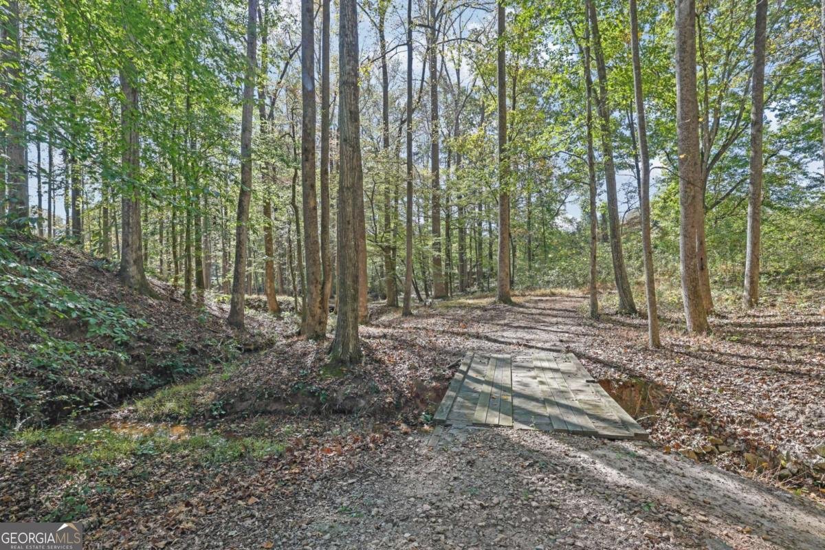 2325 Mountain Road Alpharetta - 4