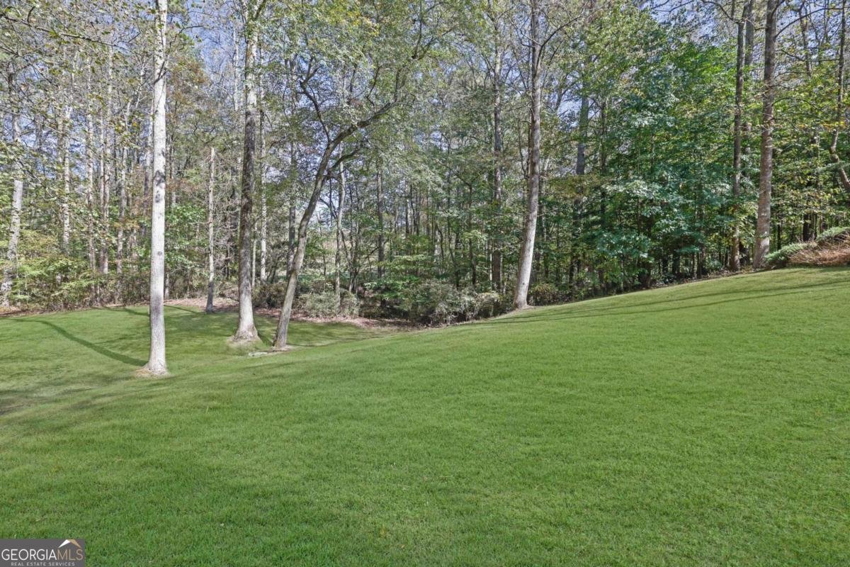 2325 Mountain Road Alpharetta - 5