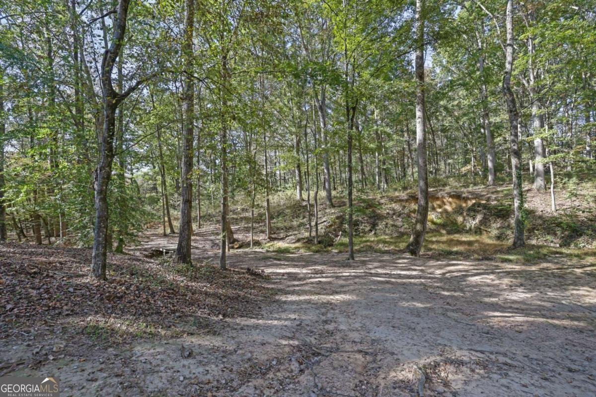 2325 Mountain Road Alpharetta - 54