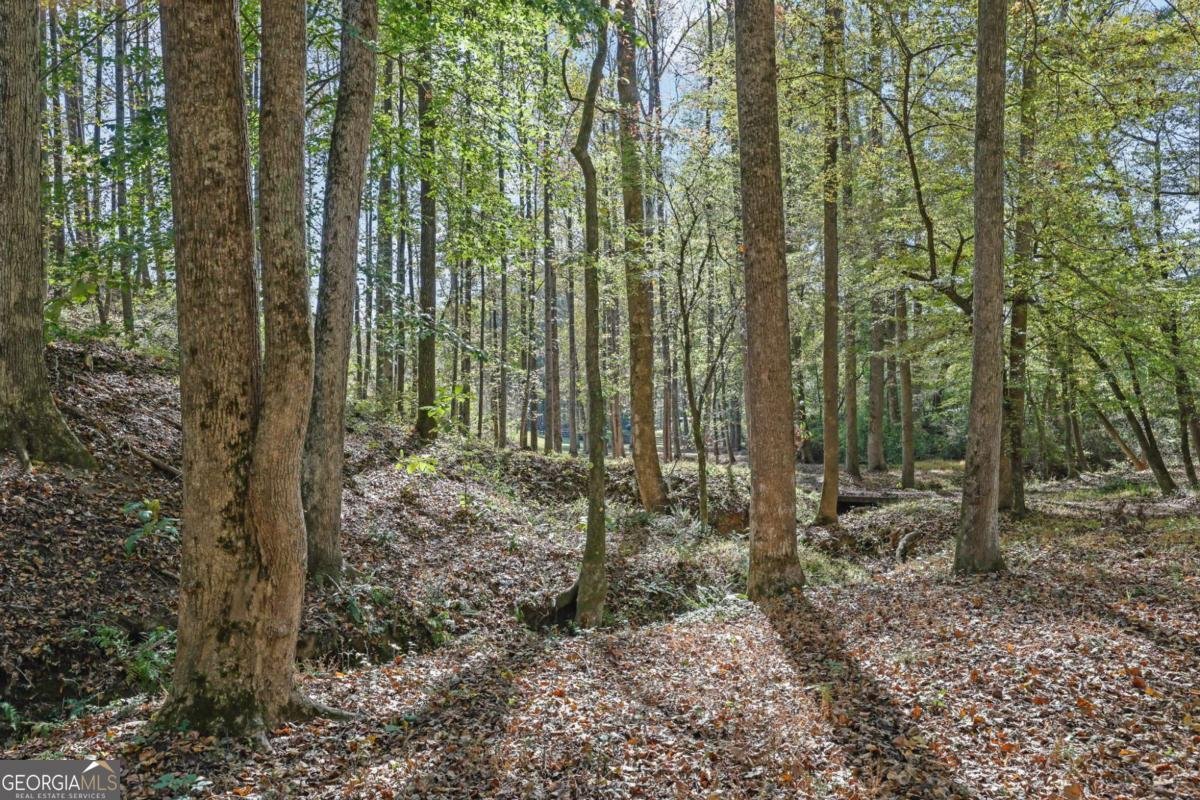 2325 Mountain Road Alpharetta - 55