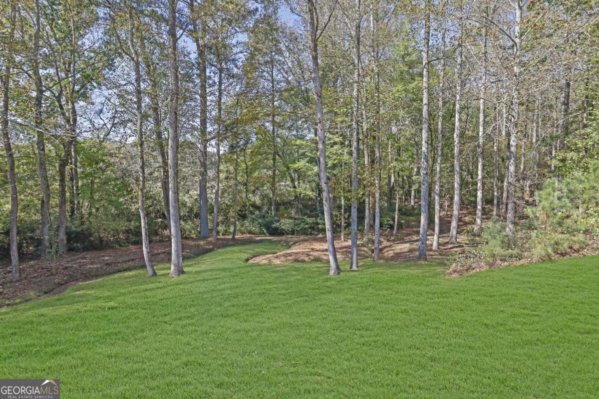 2325 Mountain Road Alpharetta - 57