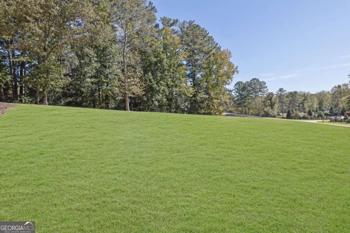 2325 Mountain Road Alpharetta - 6