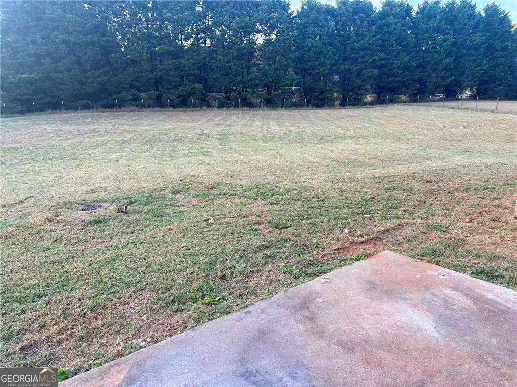 735 Strawflower Lane Locust Grove - 27