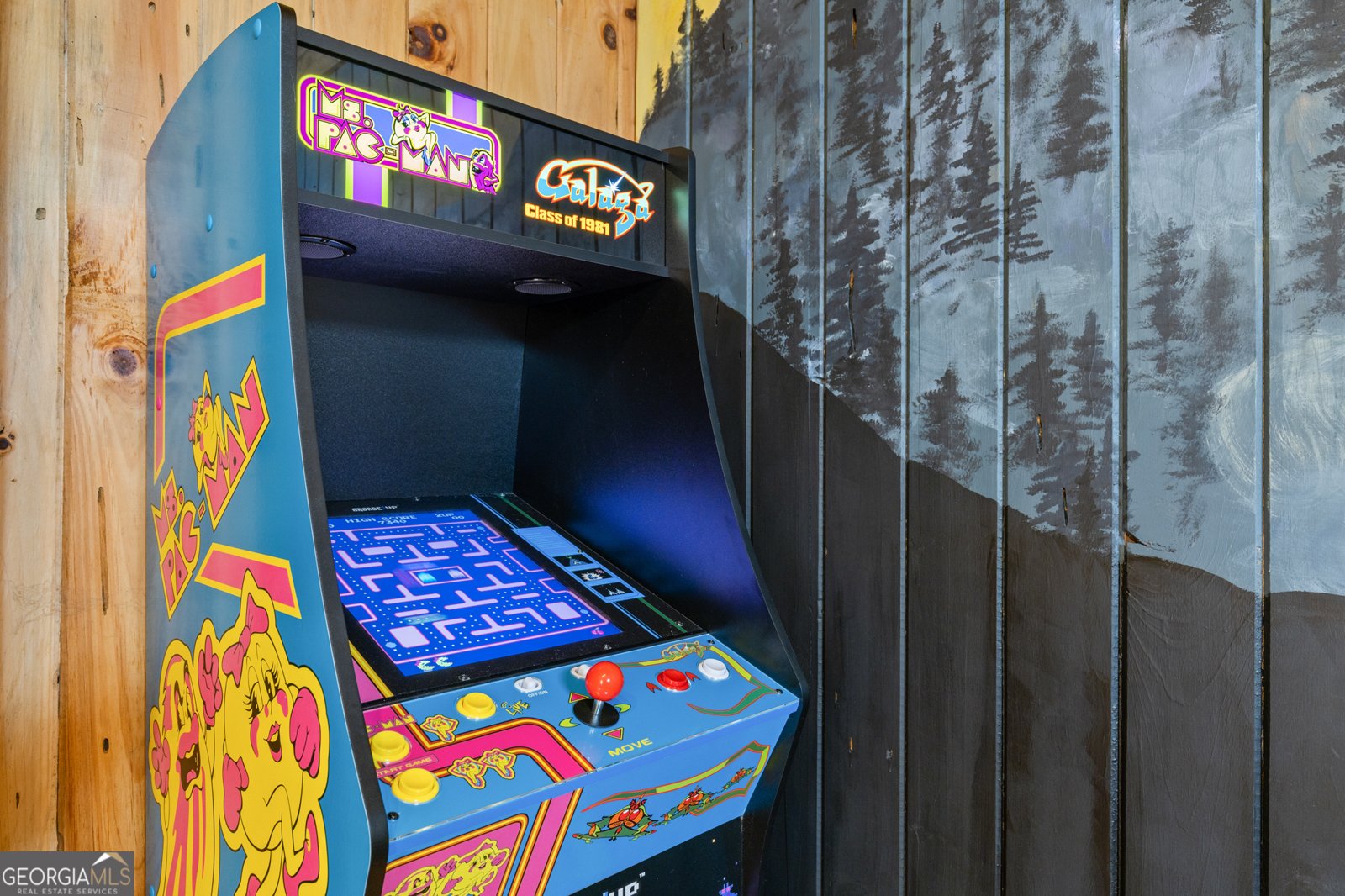 222 Icy Lane Blue Ridge - 10