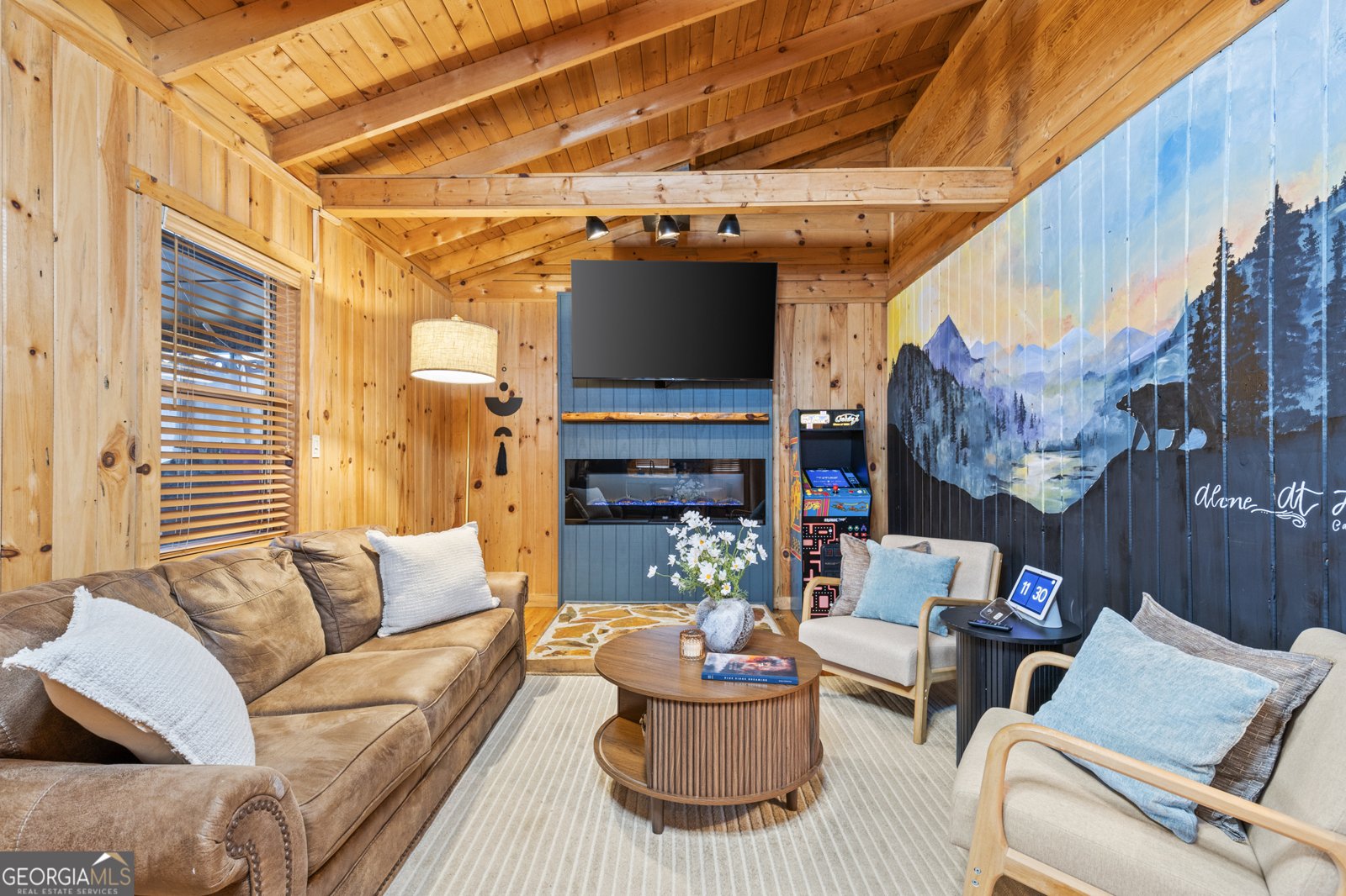 222 Icy Lane Blue Ridge - 11