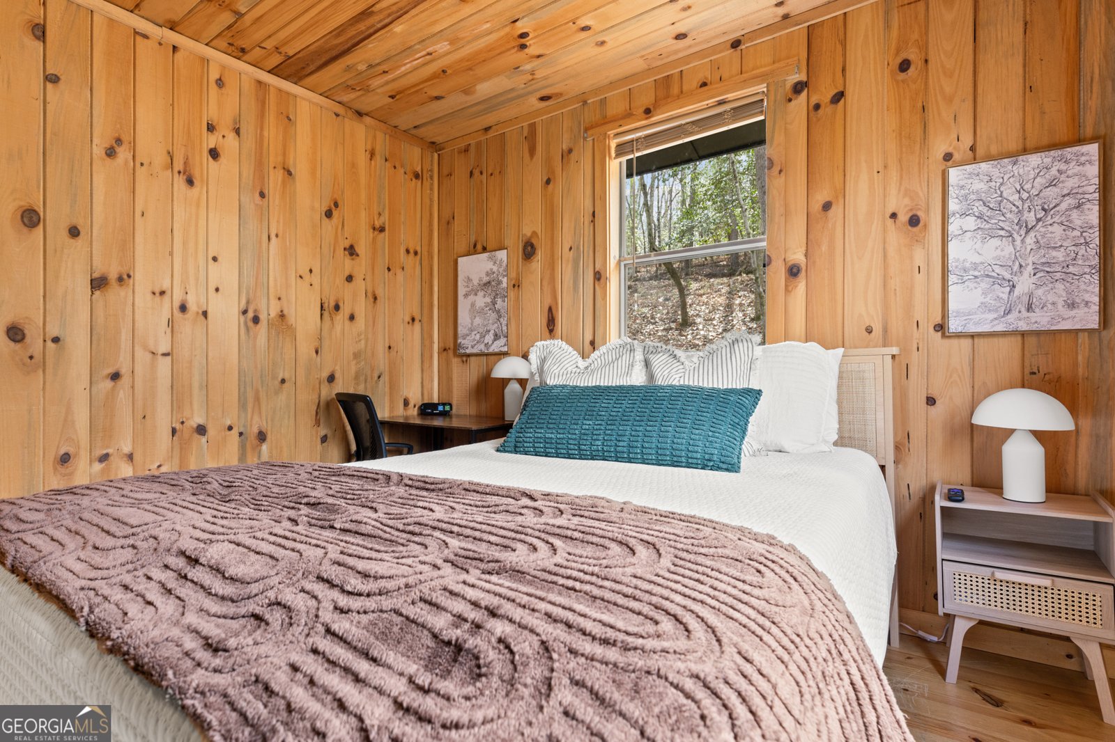 222 Icy Lane Blue Ridge - 14