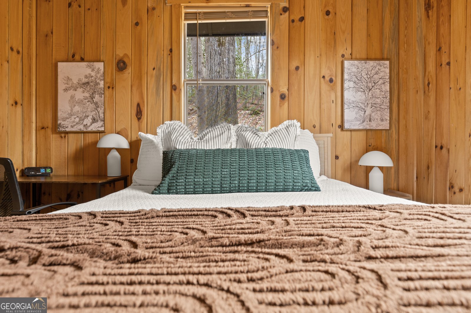 222 Icy Lane Blue Ridge - 15