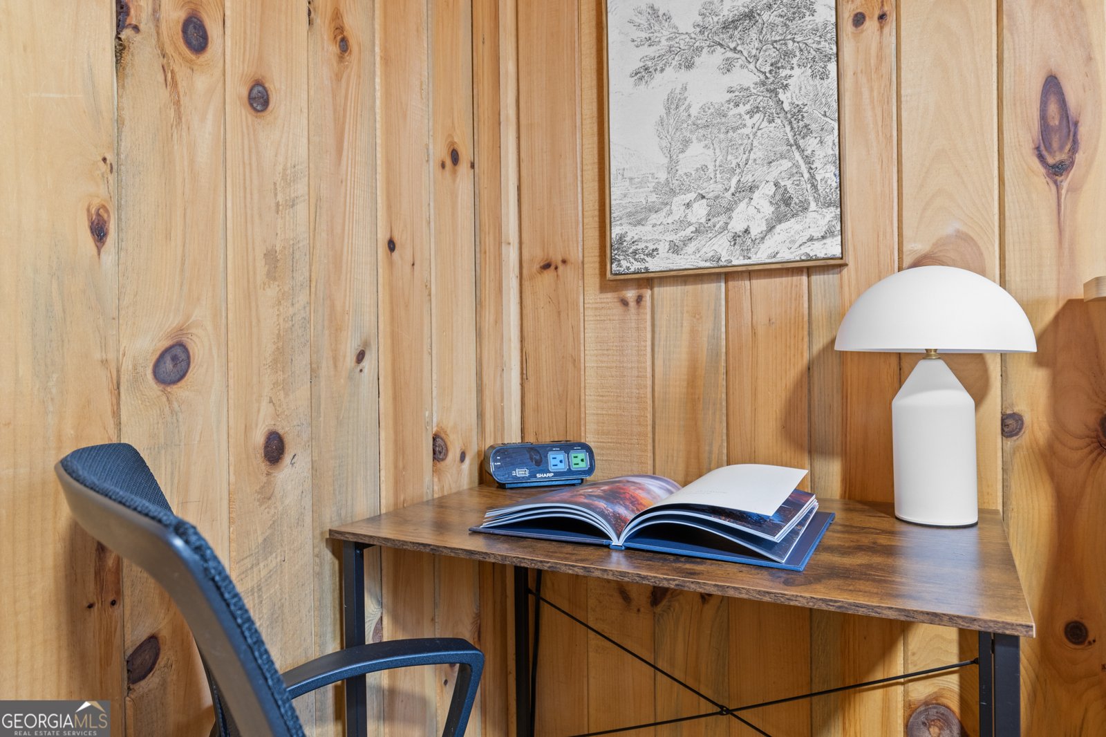 222 Icy Lane Blue Ridge - 16