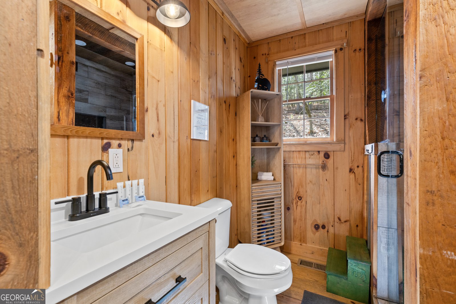 222 Icy Lane Blue Ridge - 17