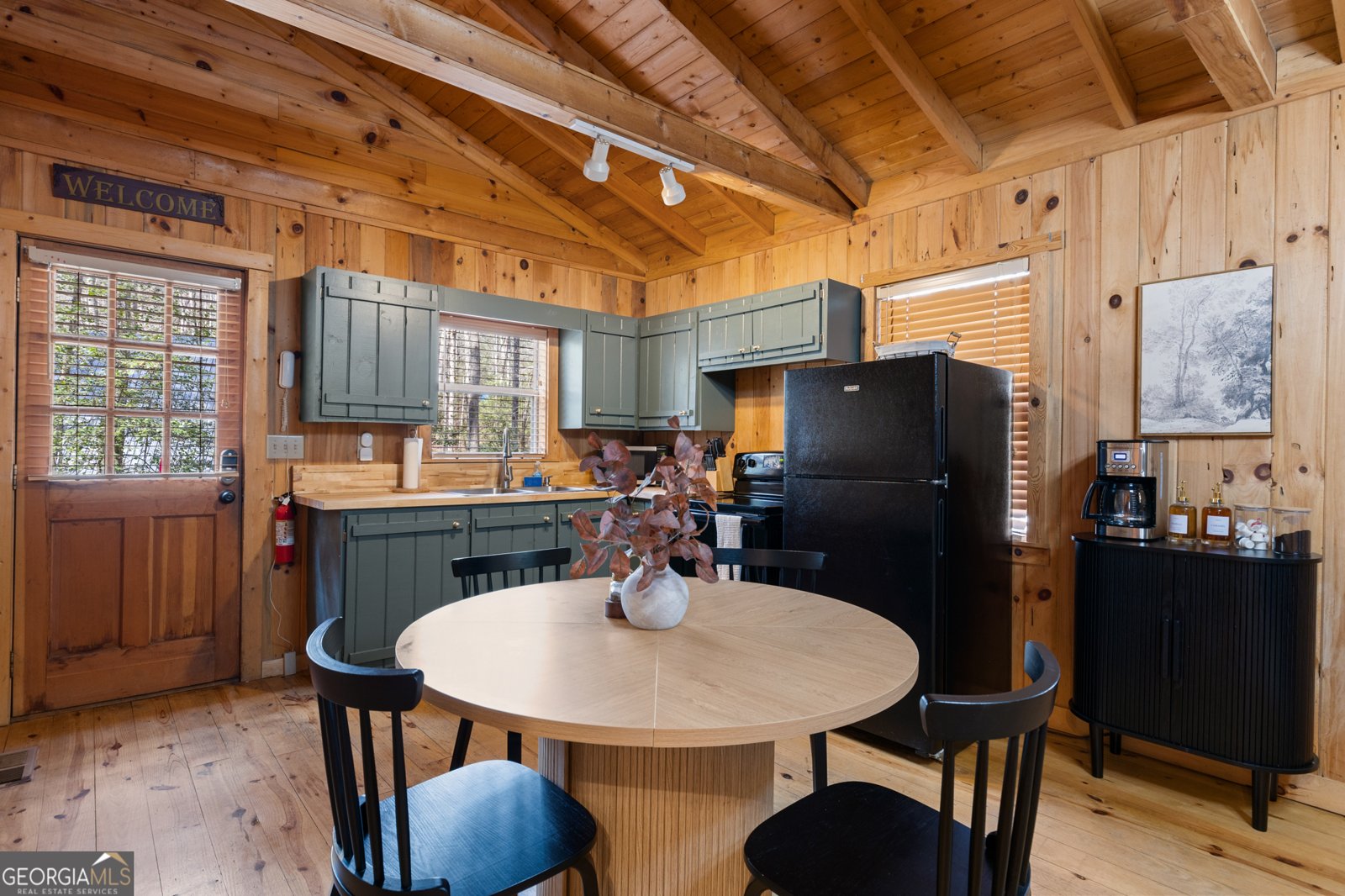 222 Icy Lane Blue Ridge - 2