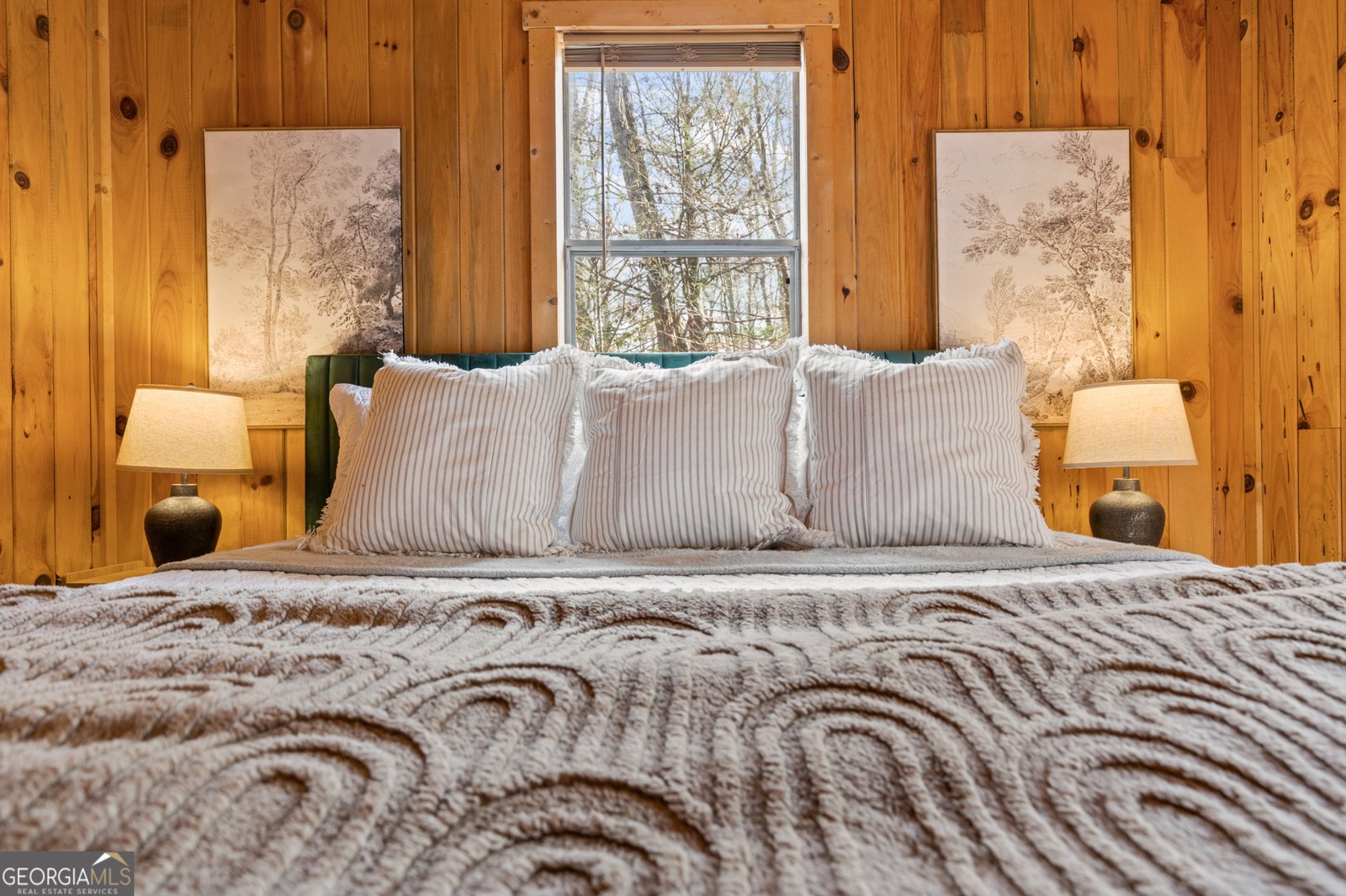 222 Icy Lane Blue Ridge - 22