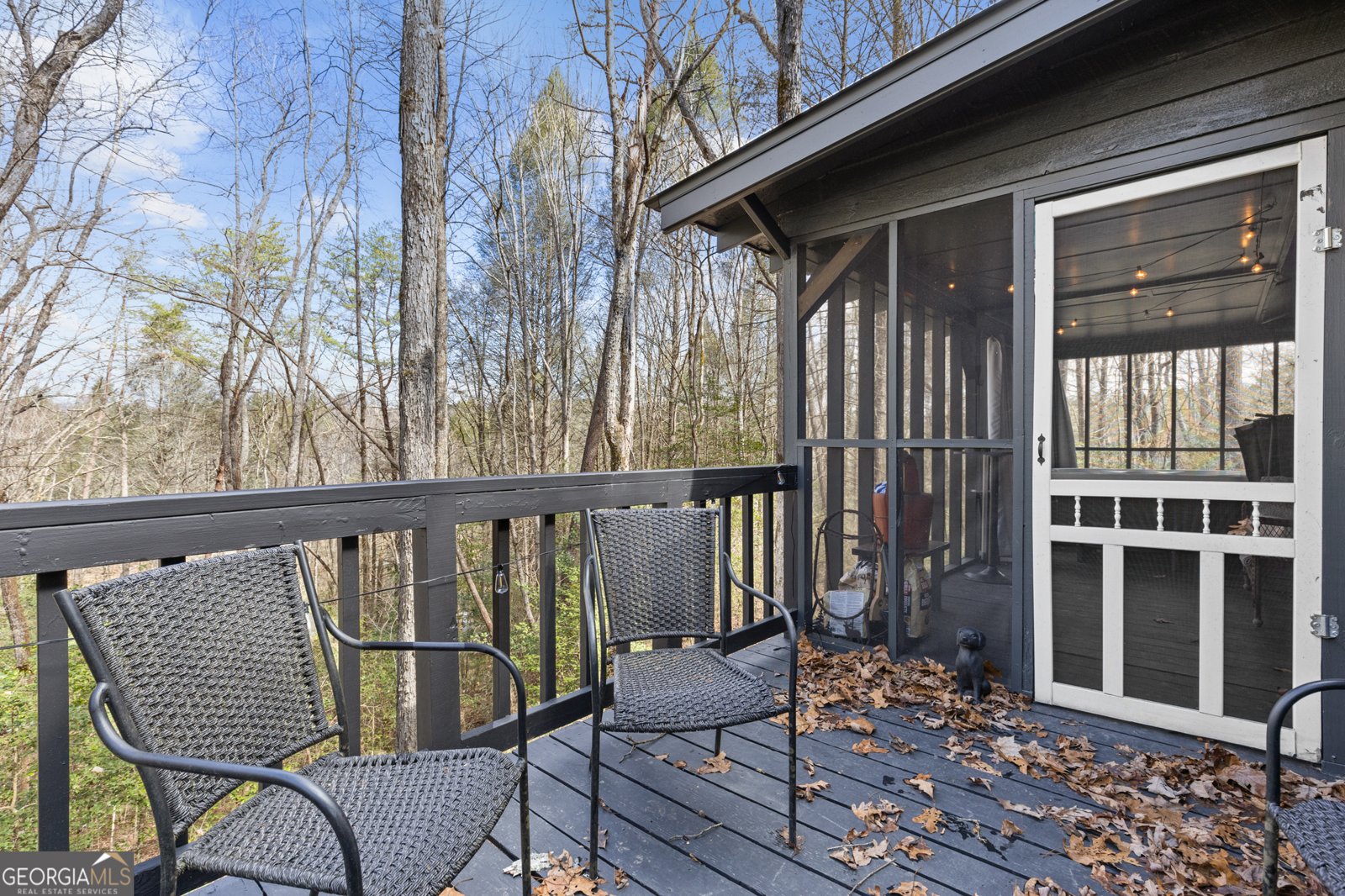 222 Icy Lane Blue Ridge - 30