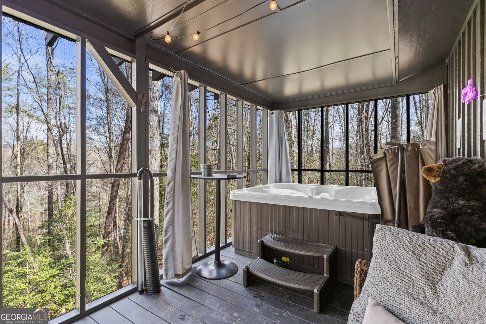 222 Icy Lane Blue Ridge - 32