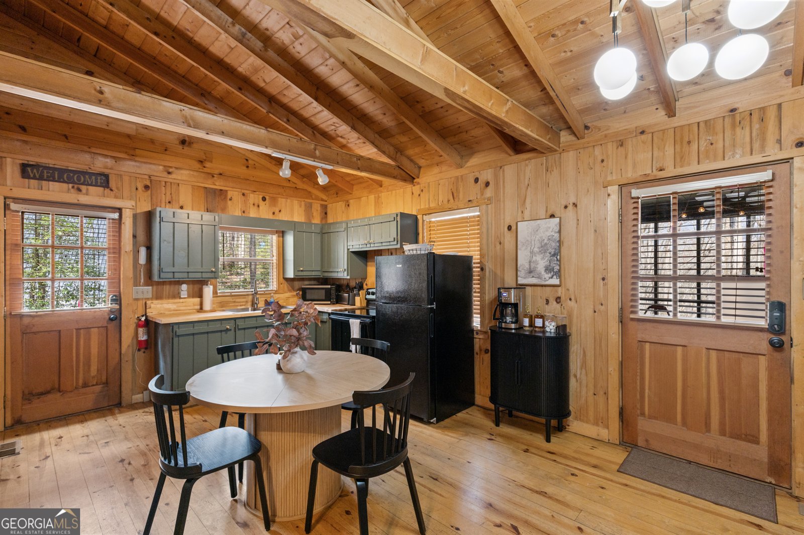 222 Icy Lane Blue Ridge - 4