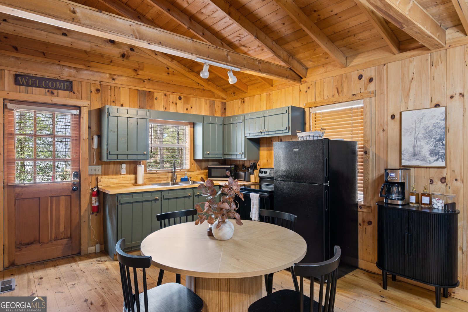 222 Icy Lane Blue Ridge - 5