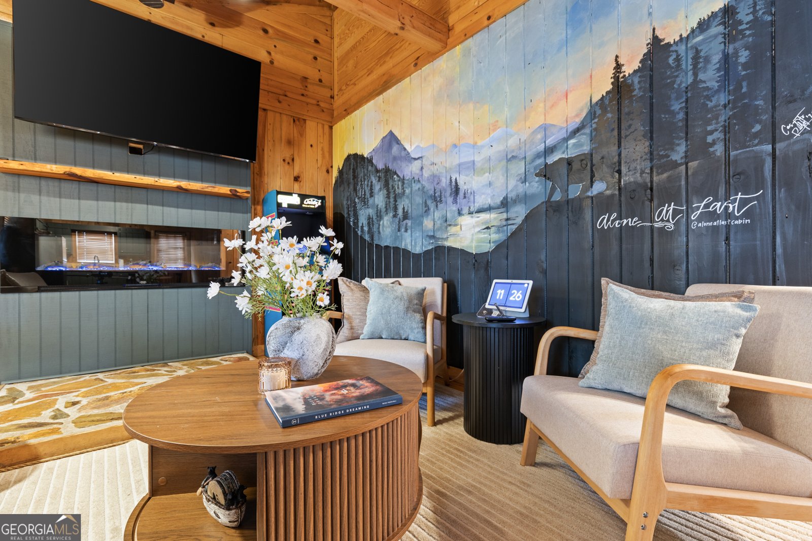 222 Icy Lane Blue Ridge - 8