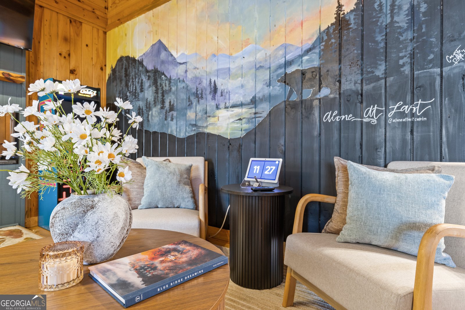 222 Icy Lane Blue Ridge - 9