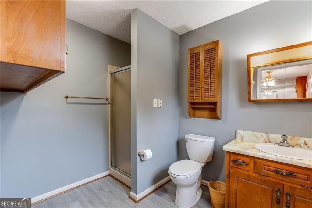 7306 Mt Vernon Road Lithia Springs - 12