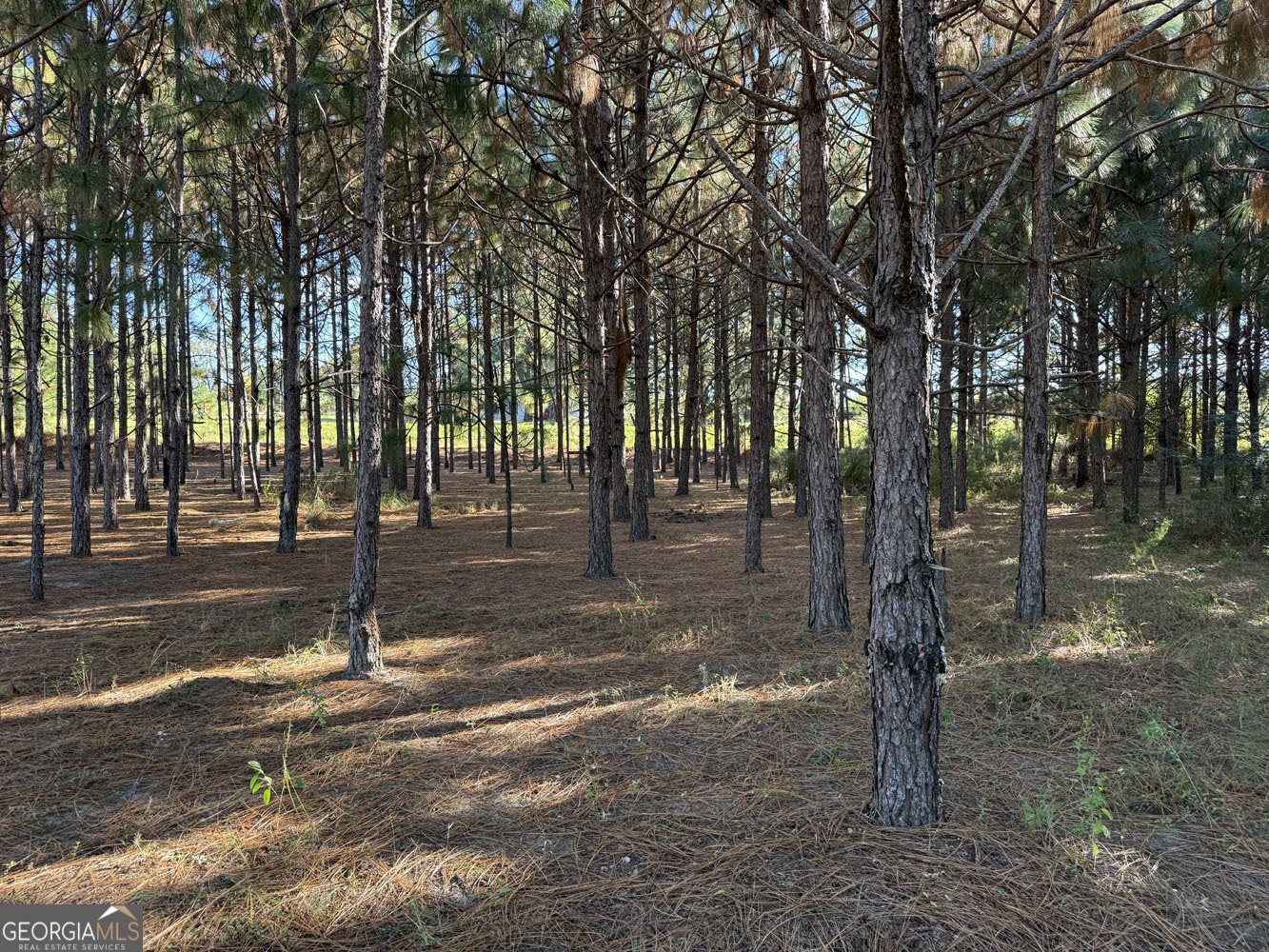 632 Whittle Road Dexter - 19