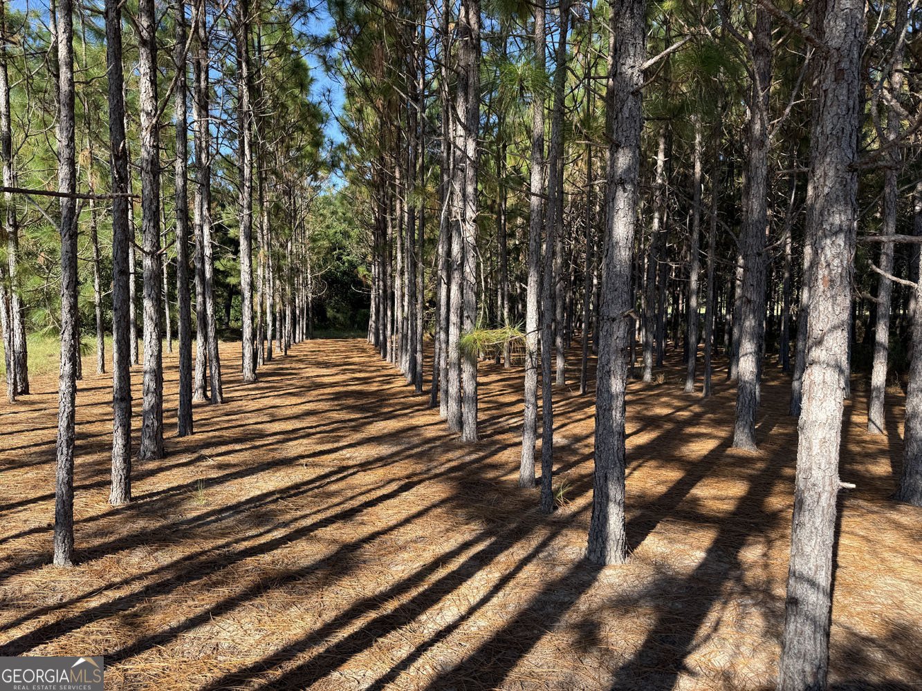 632 Whittle Road Dexter - 3