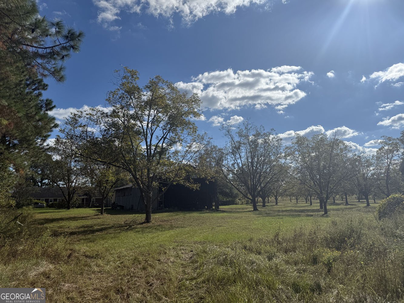 632 Whittle Road Dexter - 30