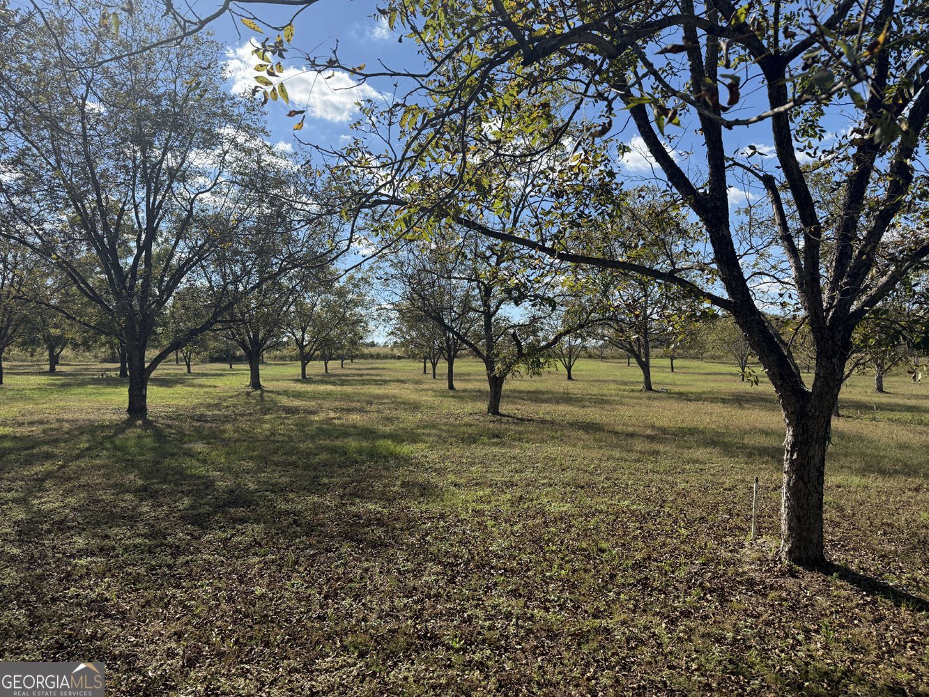 632 Whittle Road Dexter - 4