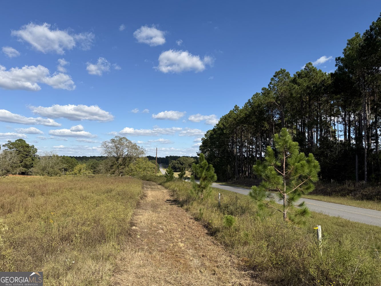 632 Whittle Road Dexter - 40