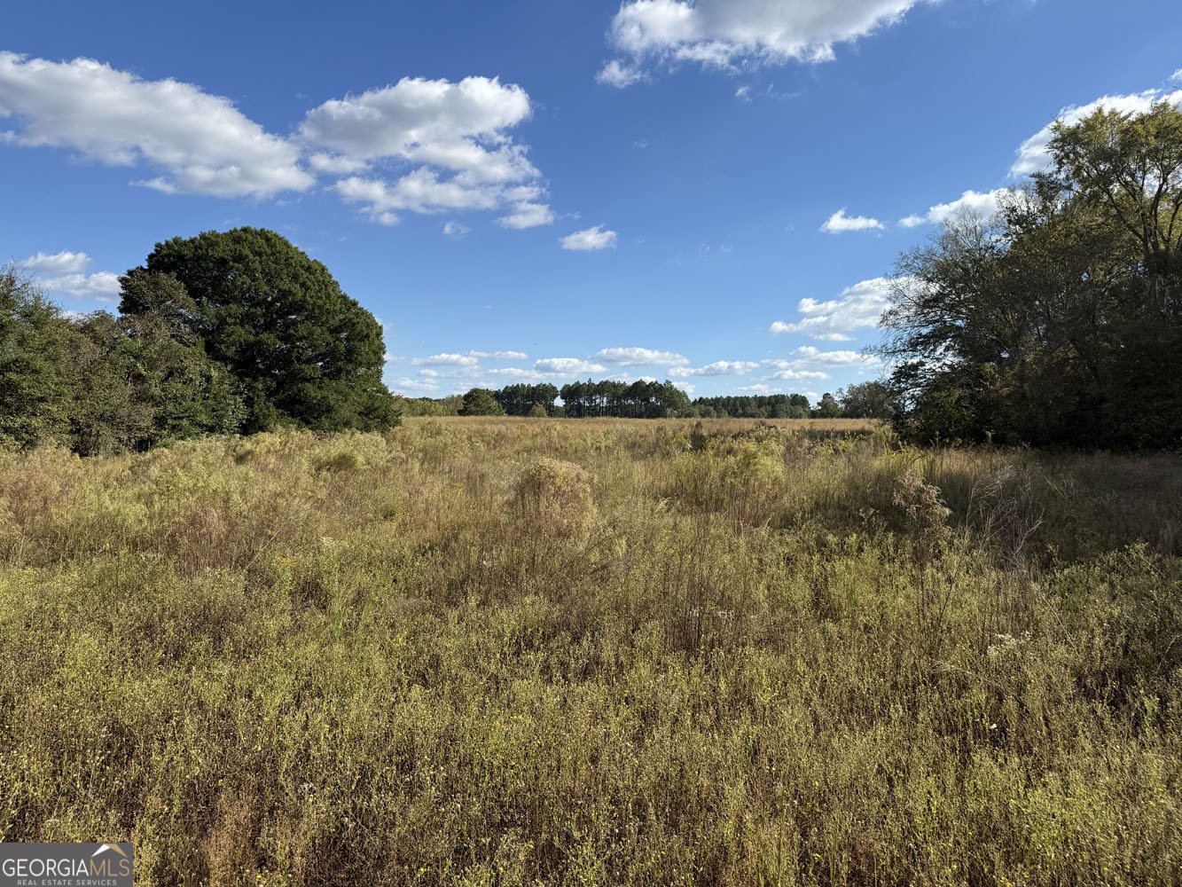 632 Whittle Road Dexter - 42