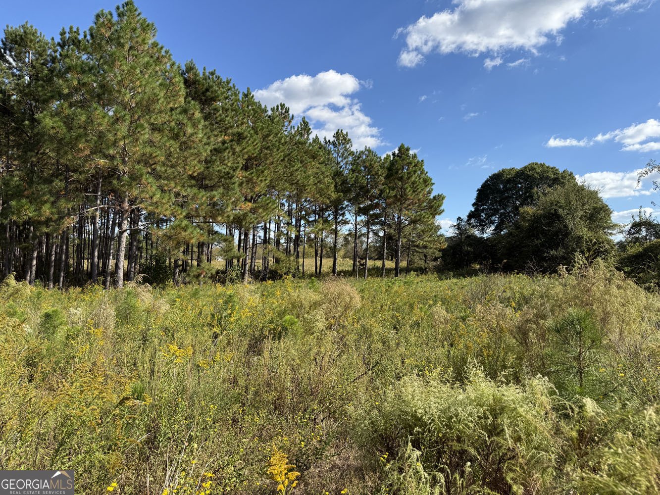 632 Whittle Road Dexter - 43