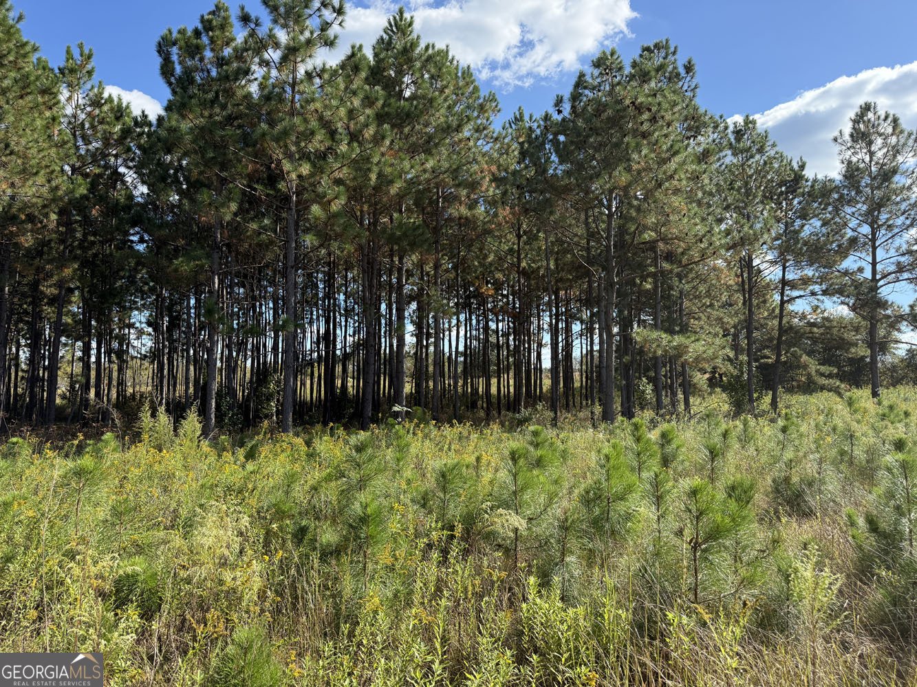 632 Whittle Road Dexter - 44