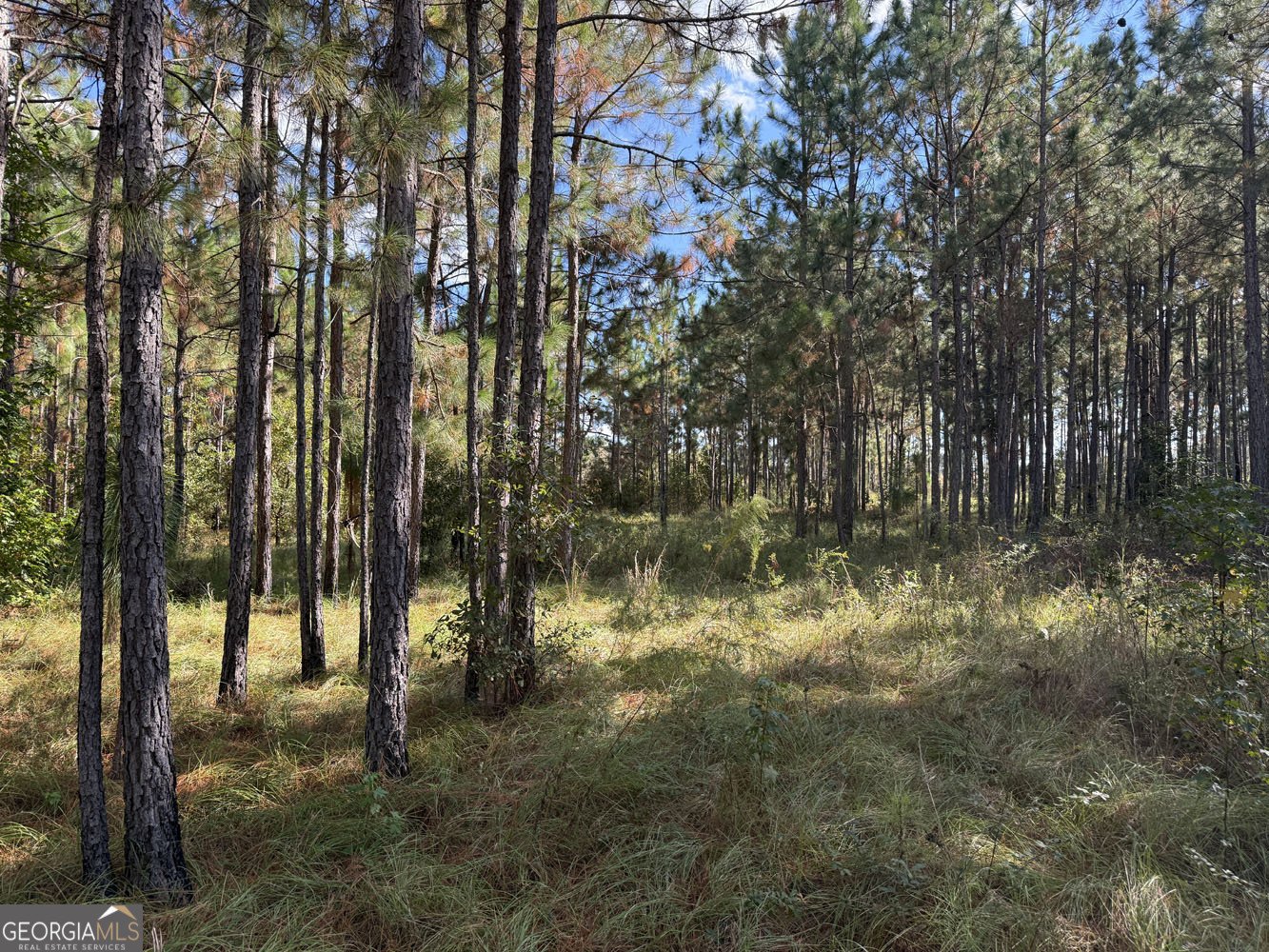 632 Whittle Road Dexter - 45