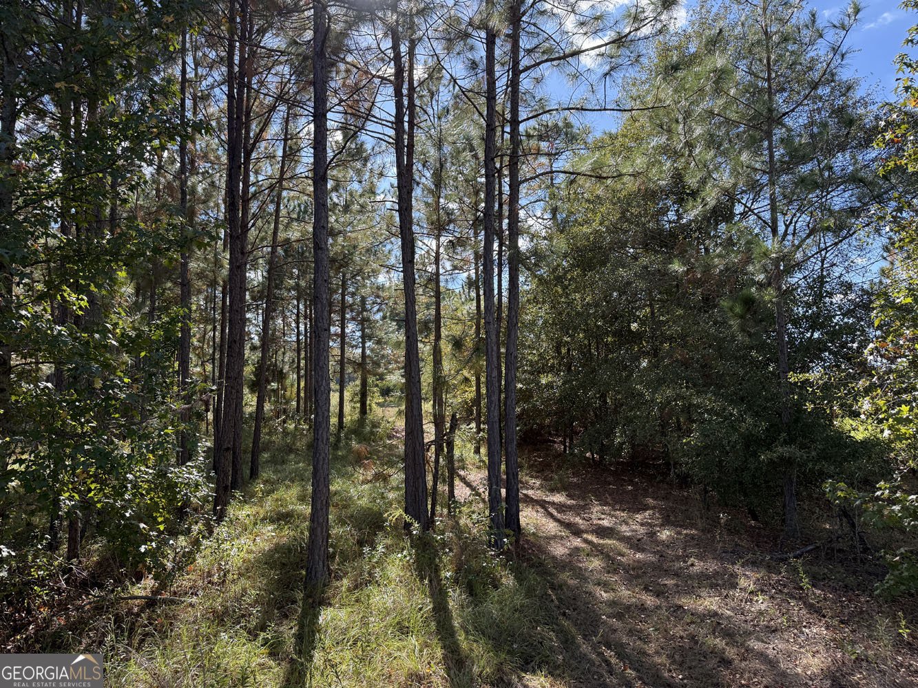 632 Whittle Road Dexter - 46