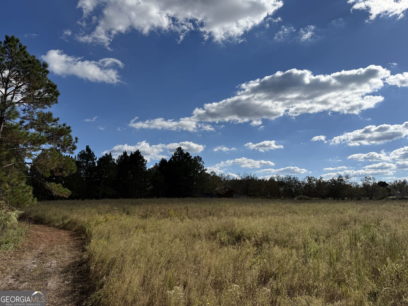 632 Whittle Road Dexter - 47