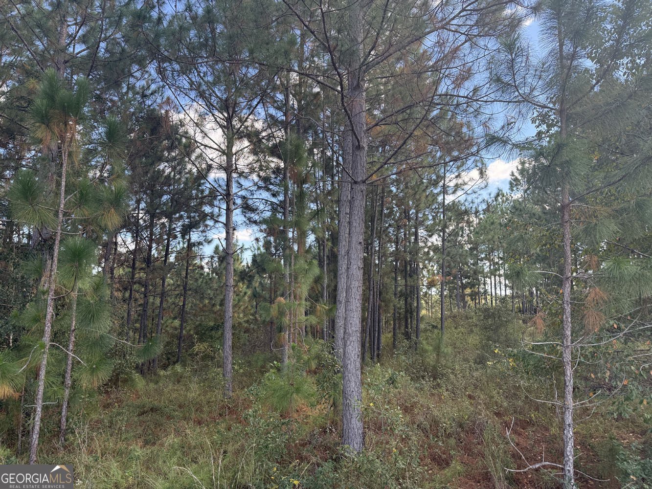 632 Whittle Road Dexter - 48