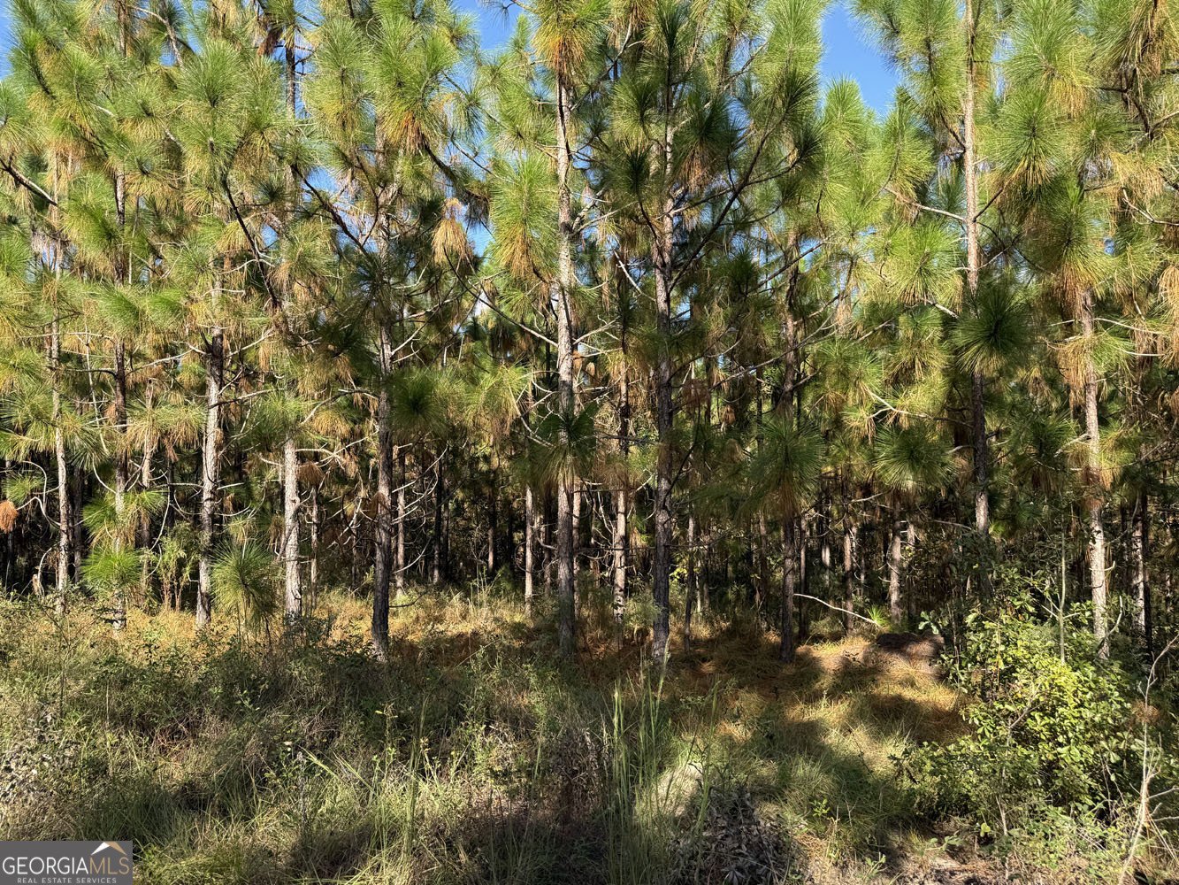 632 Whittle Road Dexter - 49