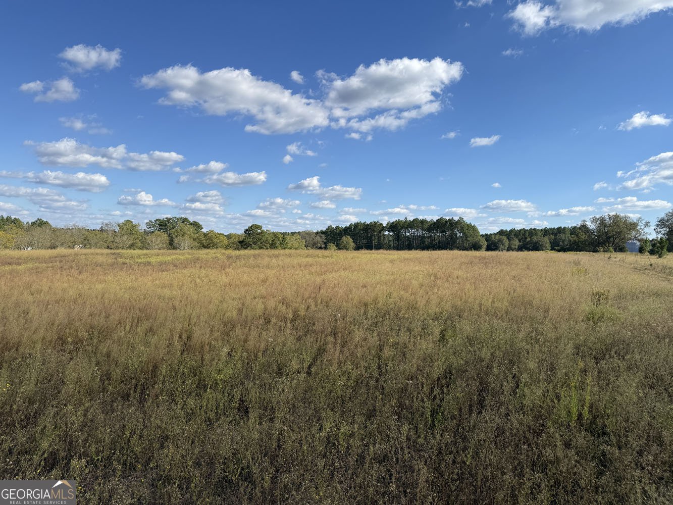 632 Whittle Road Dexter - 5