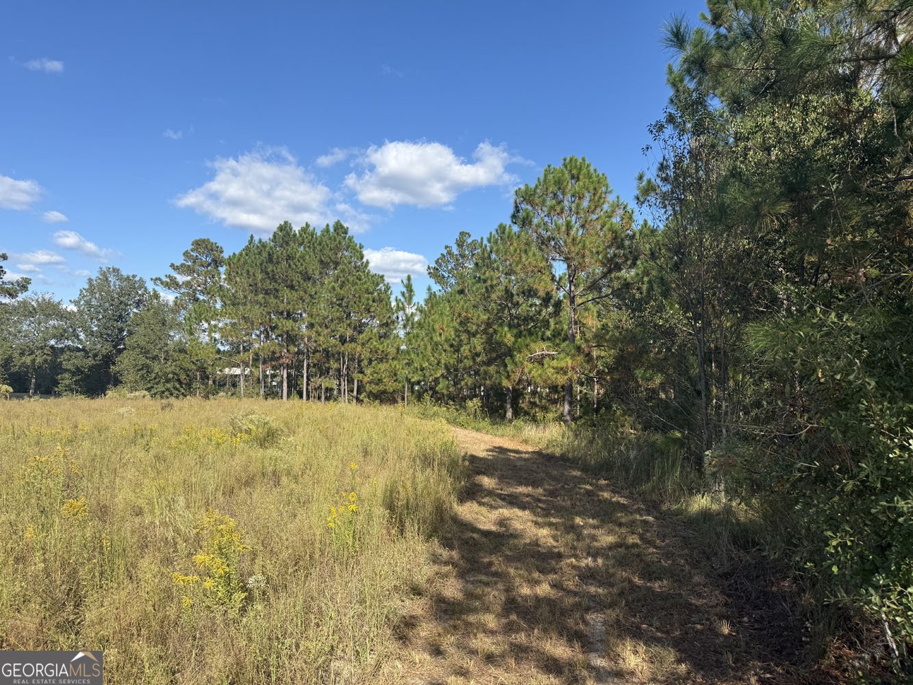 632 Whittle Road Dexter - 50