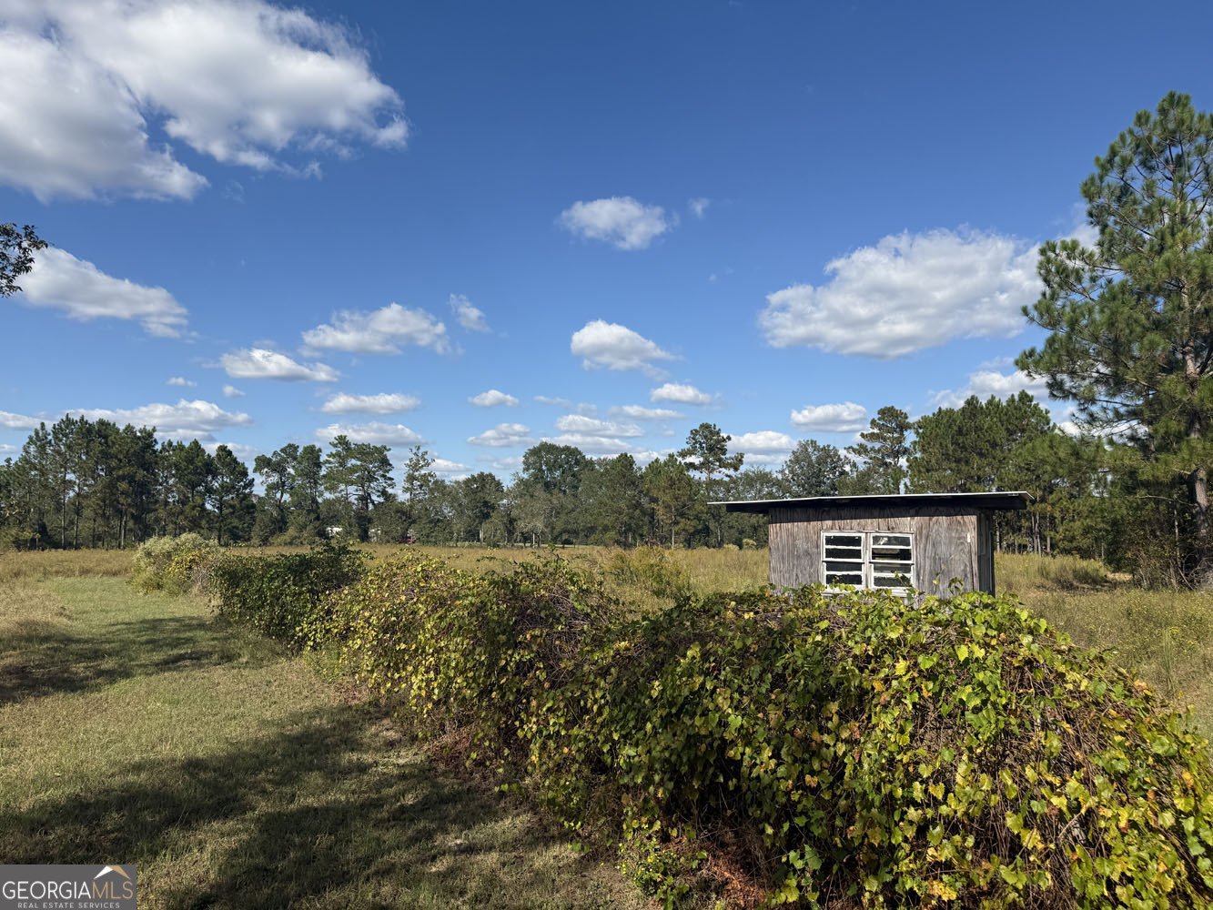 632 Whittle Road Dexter - 51