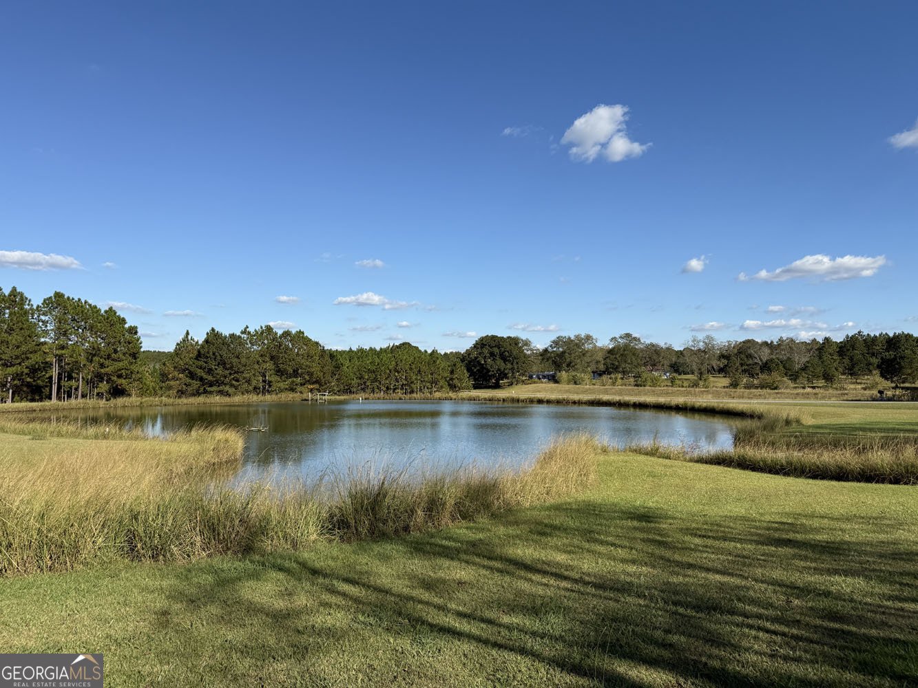 632 Whittle Road Dexter - 6